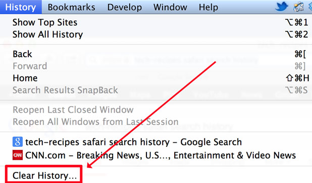 turn off google search history safari