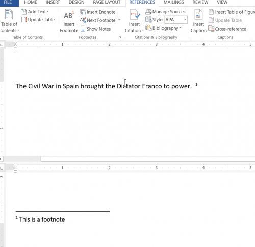 microsoft word endnote guide