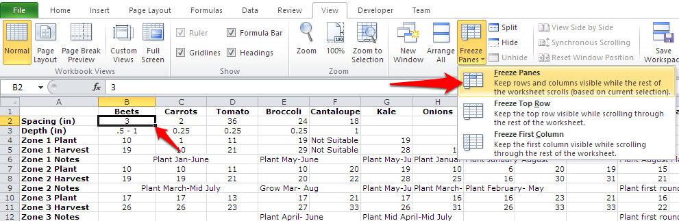 How To Freeze Rows AND Columns In Excel