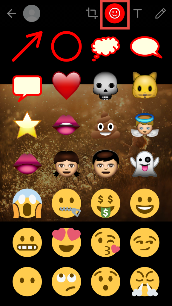 how to add emoji on whatsapp iphone