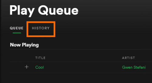 spotify only you not showing