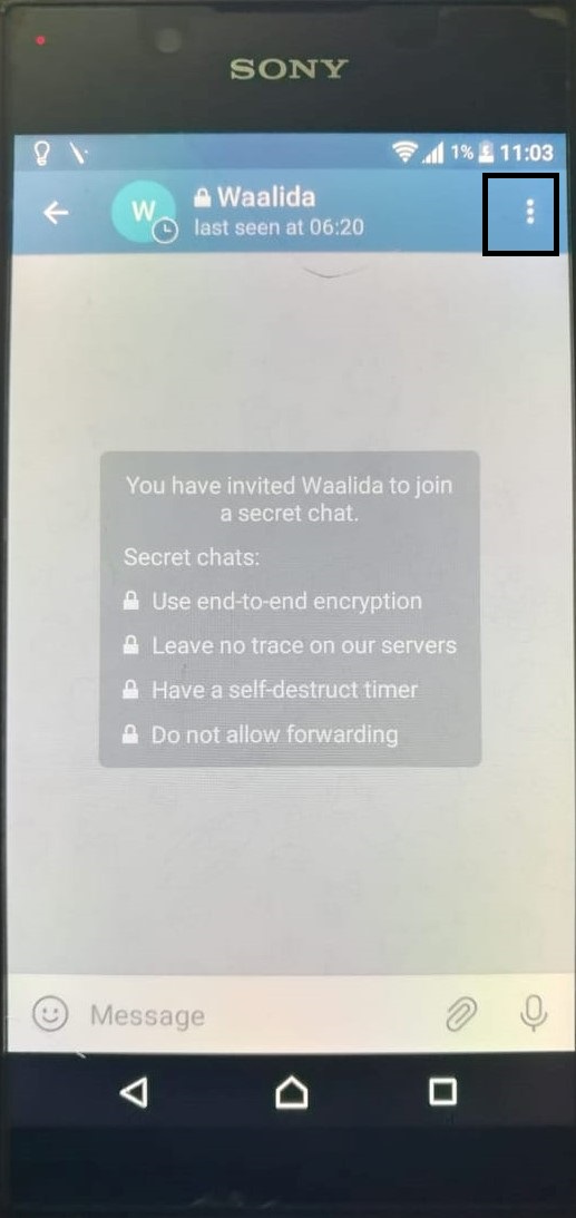 telegram messenger self destruct