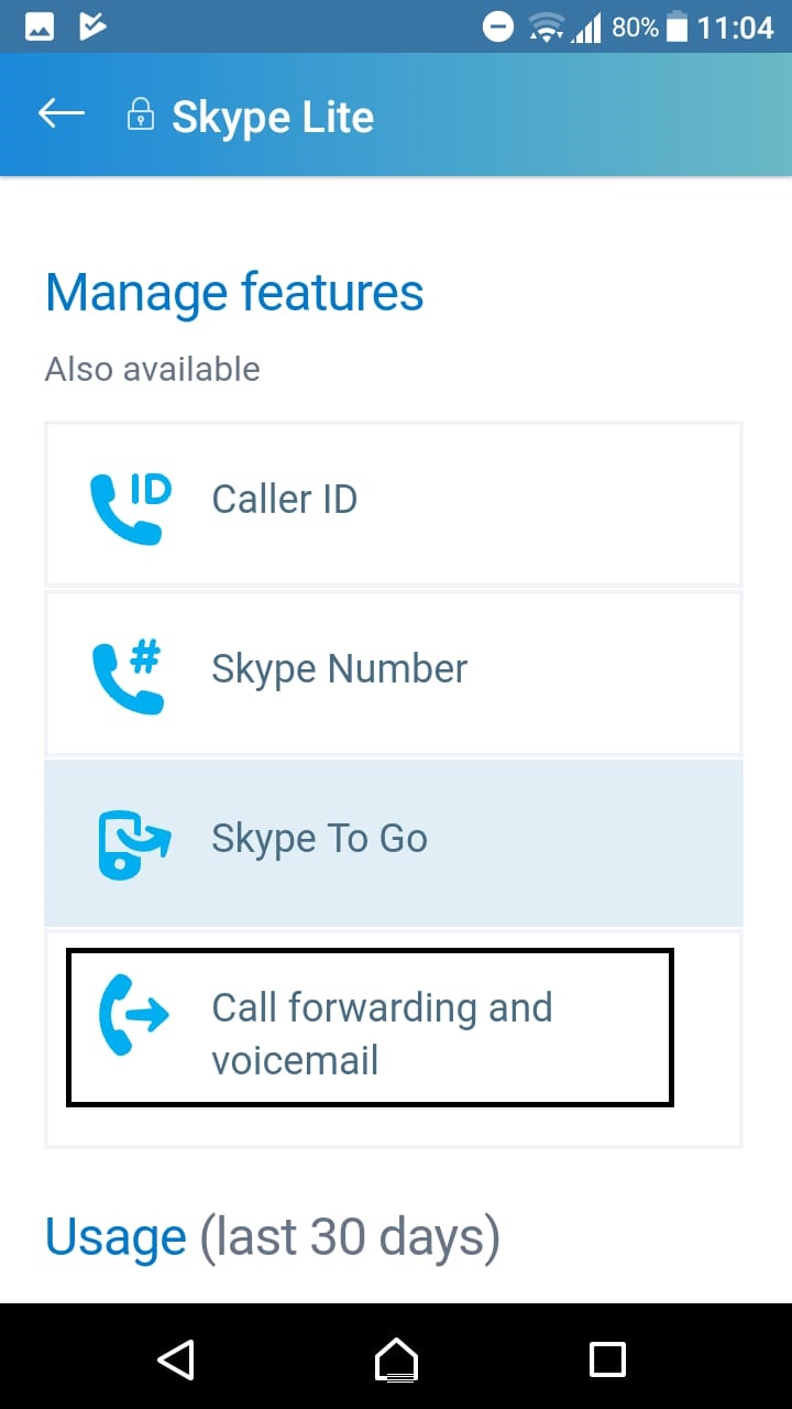 skype call to landline
