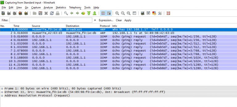 who to read wireshark captures