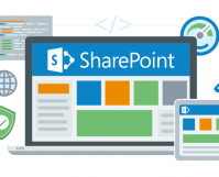 MS SharePoint